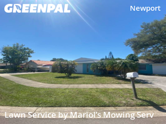 Lawn Cut nearby Clearwater, FL, 