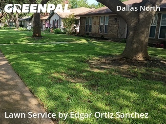 Yard Mowing nearby Plano, TX, 