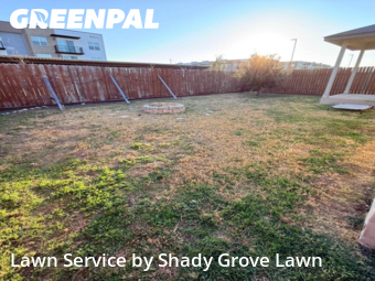 Lawn Service nearby Hutto, TX, 