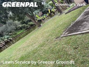 Yard Mowing nearby Coral Springs, FL, 