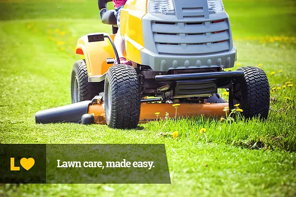 Lawn Love Lawn Care of Washington DC Photo 6