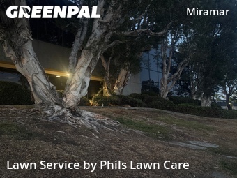 Grass Cut nearby San Diego, CA, 