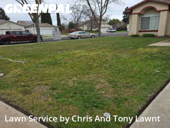 Lawn Care Service nearby Stockton, CA, 