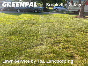 Lawn Care nearby Lynchburg, VA, 