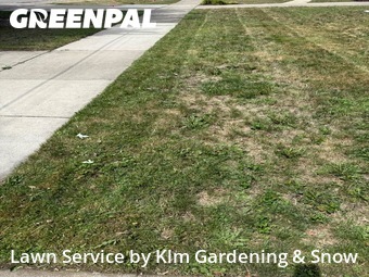 Lawn Cut nearby Farmington Hills, MI, 