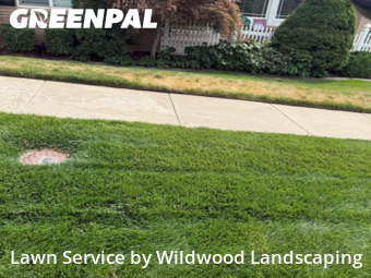 Lawn Cutting in Bountiful, 84010, Garden Trimming by Wildwood Landscaping , work completed in Oct , 2025