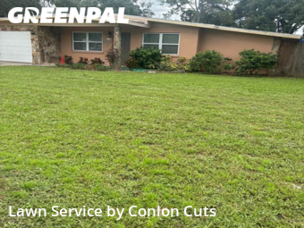 Grass Cutting nearby Bradenton, FL, 