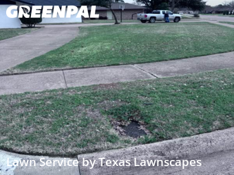 Lawn mowed in Irving, 75060