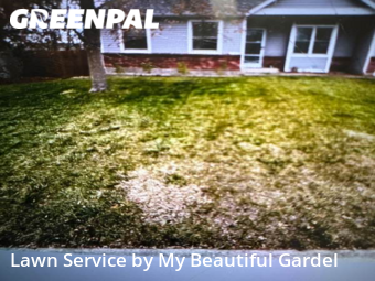 Lawn Care nearby Thornton, CO, 