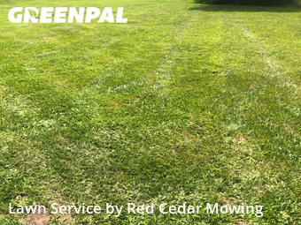 Yard Cutting nearby Grand Ledge, MI, 