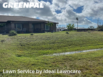 Yard Mowing nearby Cape Coral, FL, 
