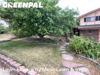 Lawn Cut nearby Littleton, CO, 