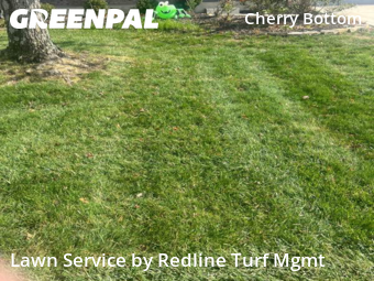 Affordable Landscaping Maintenance Services In Columbus,43230,Landscaping Installation by Redline Turf Mgmt, work completed in Nov , 2025
