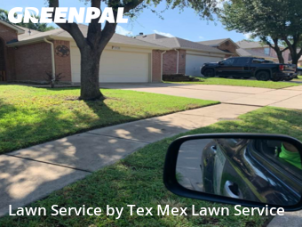 Grass Cut nearby Dallas, TX, 