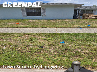 Lawn Care Service nearby Largo, FL, 