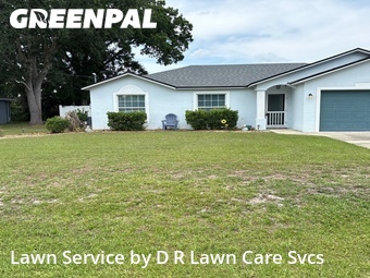 Grass Cut nearby Palm Coast, FL, 