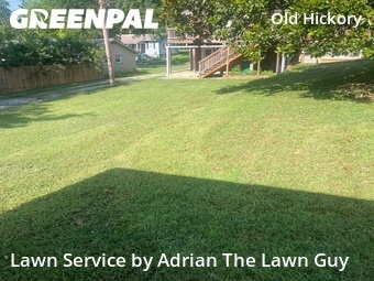 Grass Cutting nearby Nashville, TN, 