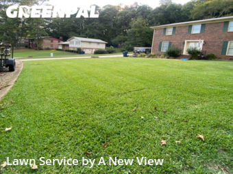 Lawn Maintenance nearby Anniston, AL, 