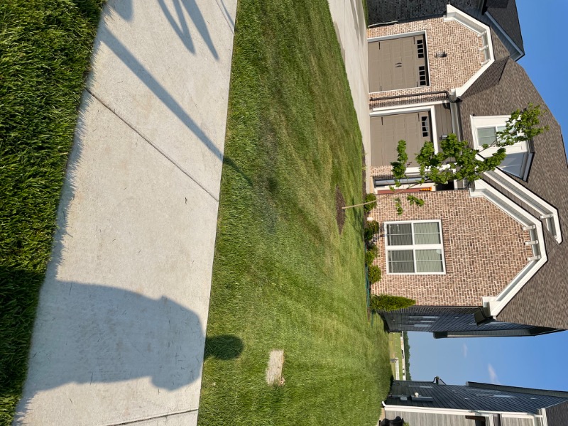 Rocco’s Lawncare Lawn Care Services in Murfreesboro, TN
