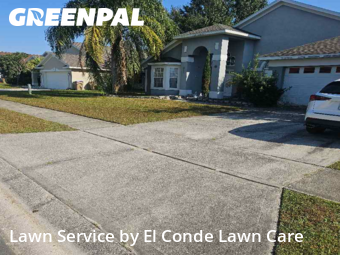 Yard Maintenance in Buena Ventura Lakes, 34743, Weed Trimming by El Conde Lawn Care, work completed in Nov , 2025