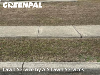 Grass Cut nearby Cibolo, TX, 