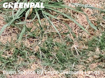 Lawn Care Service nearby Oklahoma City, OK, 