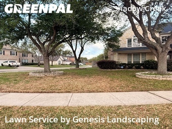 Yard Cutting nearby Pearland, TX, 