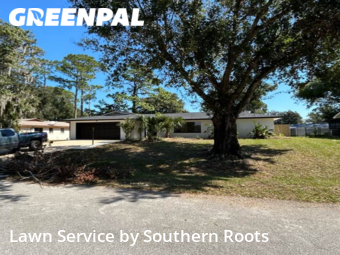 Grass Cutting nearby Palm Coast, FL, 