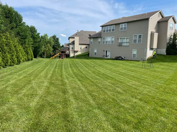 Lawn Mowing Contractor in O'fallon, MO, 63366