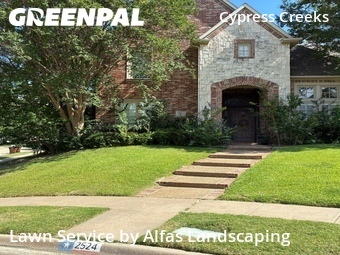Lawn Care nearby Plano, TX, 