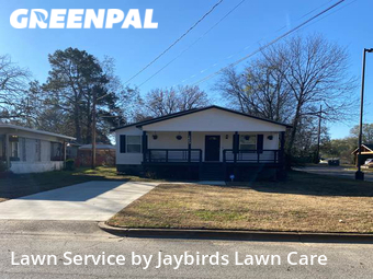 Lawn Cut nearby Decatur, AL, 