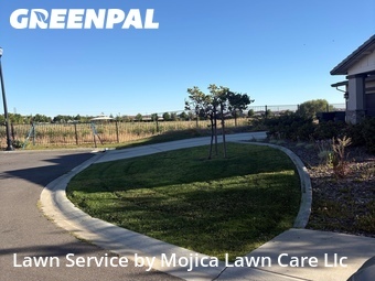 Backyard Landscaping In Roseville,95747,Landscape Design by Mojica Lawn Care Llc, work completed in Jul , 2026