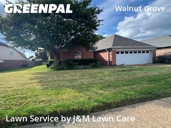 Landscaping Cleanup In Memphis,38018,Landscape Design by J&M Lawn Care, work completed in Jun , 2026