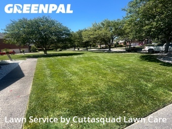 Grass Cutting nearby Virginia Beach, VA, 