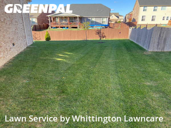 Lawn Mow nearby Mt. Juliet, TN, 