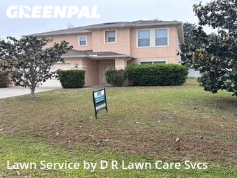 Grass Cut nearby Palm Coast, FL, 