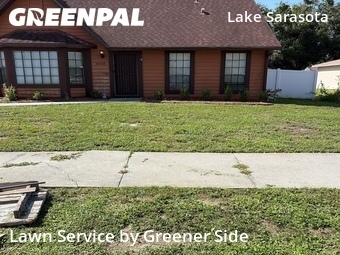 Grass Cut nearby Sarasota, FL, 
