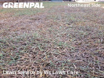 Lawn Cutting nearby Converse, TX, 