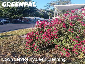 Lawn Maintenance nearby West Jordan, UT, 