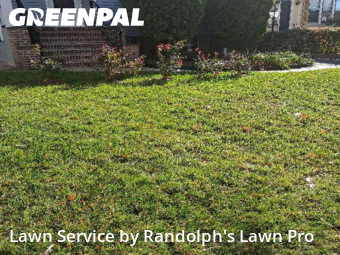 Lawn Mowing Service nearby Maplewood, NY, 