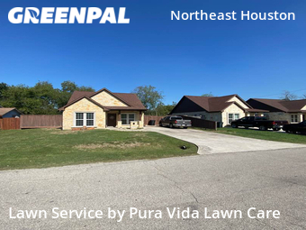 Lawn Cutting nearby Jacinto City, TX, 