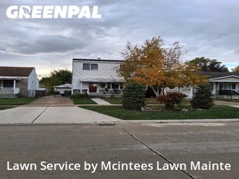 Property Maintenance in Southgate, 48195, Yard Mowing by Mcintees Lawn Mainte, work completed in Nov , 2025