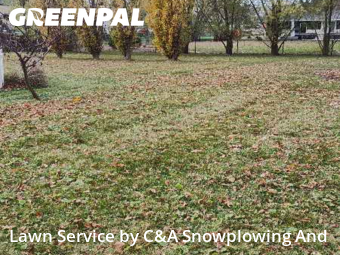 Lawn Servicein Arlington Heights,60004,Lawn Cut by C&A Snowplowing And , work completed in Dec , 2025