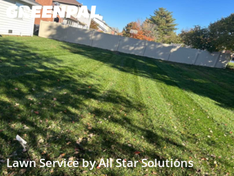 Yard Cutting in Belleville, 62220, Weekly Mowing by All Star Solutions, work completed in Nov , 2025