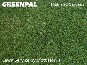 Yard Cutting nearby Hollywood, FL, 