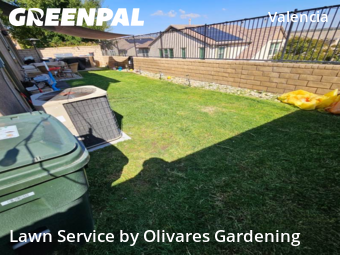 Work completed by cheap-lawn-cutting-businesses-in-Santa Clarita-CA