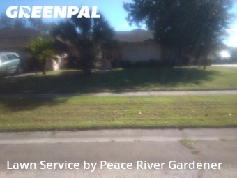 Yard Cutting nearby Brandon, FL, 