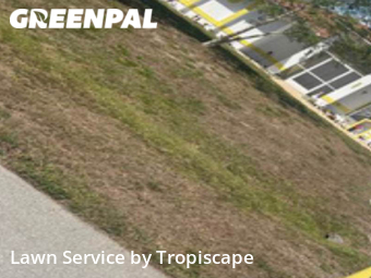 Lawn Mowing Service nearby Cape Coral, FL, 