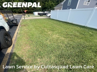 Lawn Cut nearby Virginia Beach, VA, 