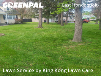 Grass Cut nearby Rochester, NY, 